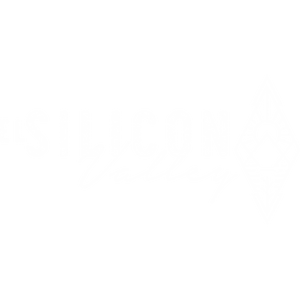 estrategia de negocio para el silicon valley latam